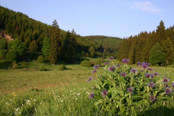 Jansbachtal - Wolfsberg